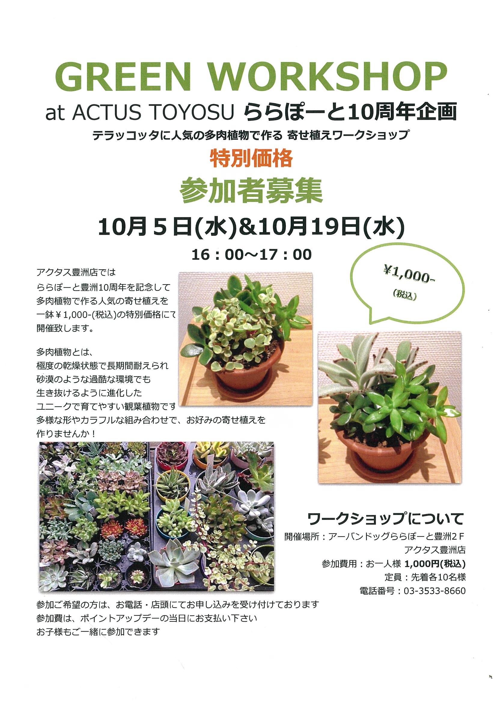 アクタス 豊洲店 Actus アクタス インテリア 家具 ソファ チェア テーブル ギフト